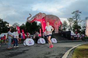 BIB: 
                            <button type="button" onclick="openModal(26529397)" class="btn btn-primary btn-sm float-right btn-popup" data-toggle="modal" data-target=".modal-high-quality">
                        <i class="fas fa-shopping-cart"></i> Add to Cart
                    </button>
                                            <button type="button" onclick="isThisMe(26529397, true)" class="btn btn-success btn-sm float-right btn-popup btn-isme hidden" data-toggle="tooltip" data-placement="bottom" title="นี่คือรูปของคุณใช่ไหม คลิกที่นี่เพื่อเอาเข้าอัลบั้ม">
                        <i class="fas fa-plus"></i> Add to album
                    </button>
                    <button type="button" onclick="isThisMe(26529397, false)" class="btn btn-warning btn-sm float-right btn-popup btn-isnotme hidden">
                        <i class="fas fa-ban"></i> Remove from album
                    </button>